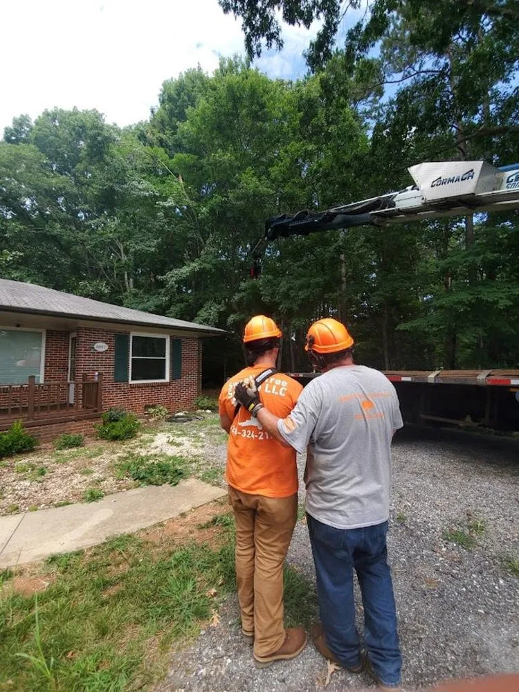 Trusted landscape design with custom design across Vale, NC - Sweet’s Tree Service