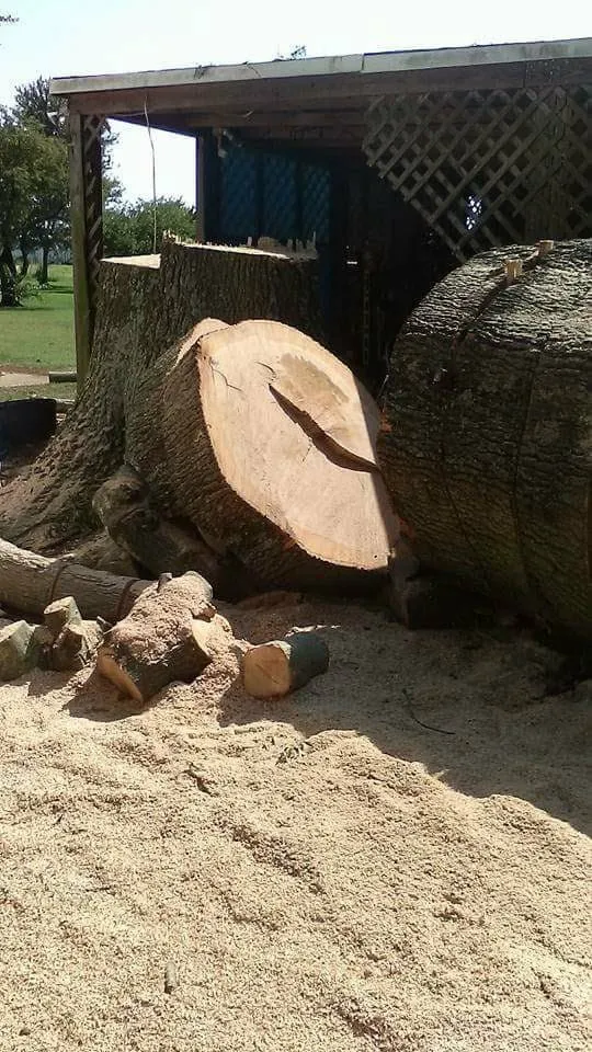 Affordable landscape installation for homes across Vale, NC - Sweet’s Tree Service
