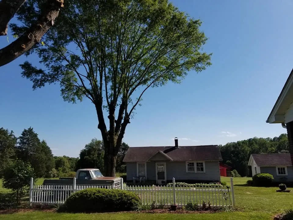 Local lawn care service in Vale, NC by Sweet’s Tree Service
