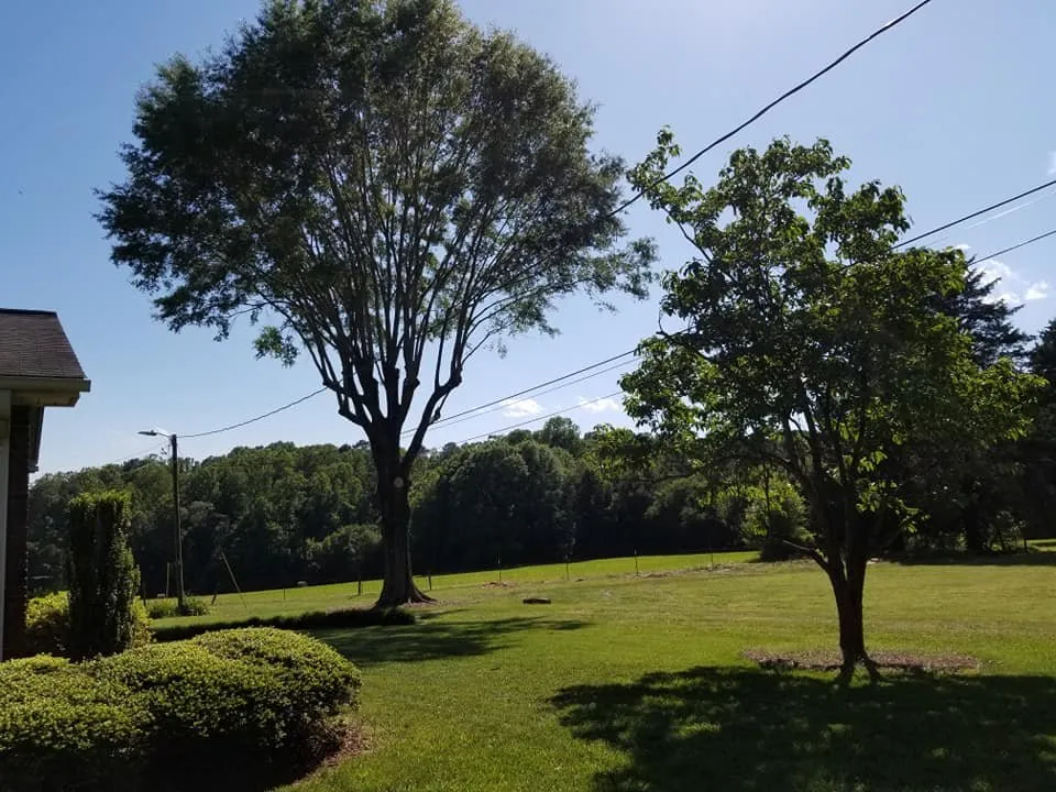 Custom landscape design in Vale, NC by Sweet’s Tree Service