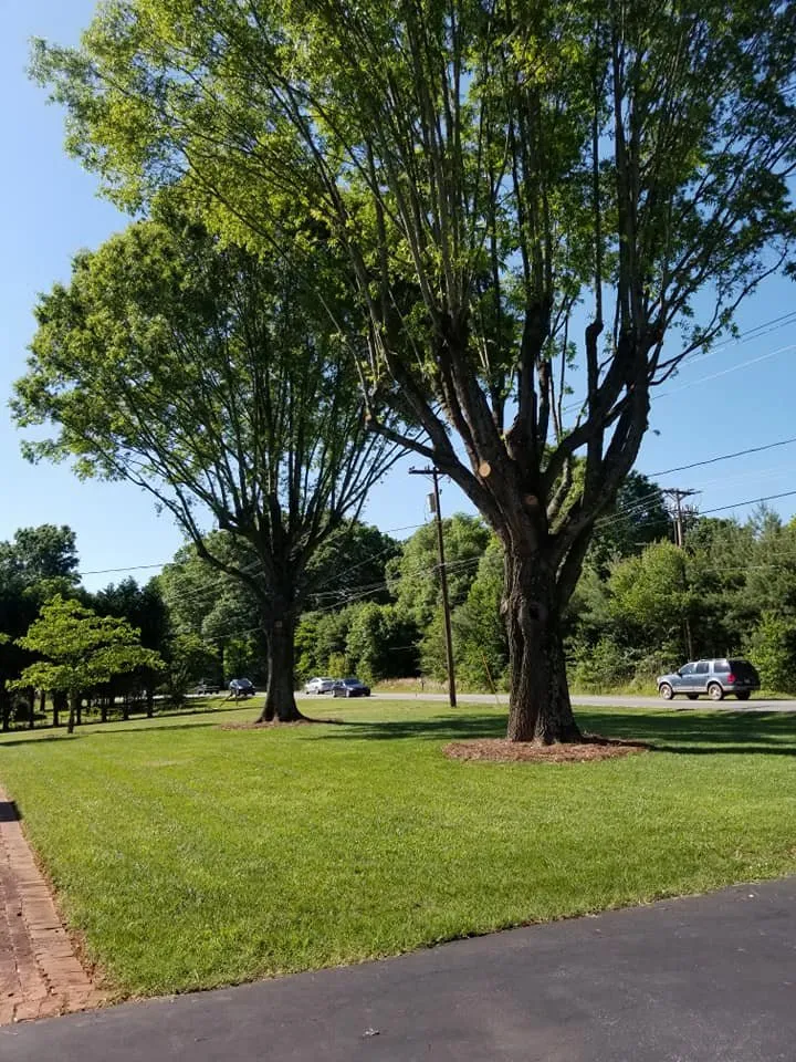 Top-rated outdoor landscaping in Vale, NC by Sweet’s Tree Service