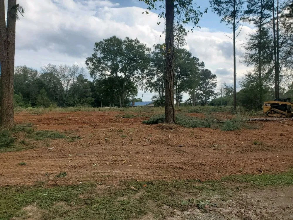 Custom landscape installation for year-round maintenance across Union, SC - Sweetwater Grading Solutions