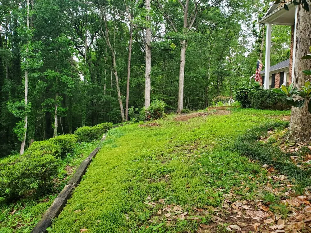 Professional outdoor landscaping experts serving Union, SC - Sweetwater Grading Solutions