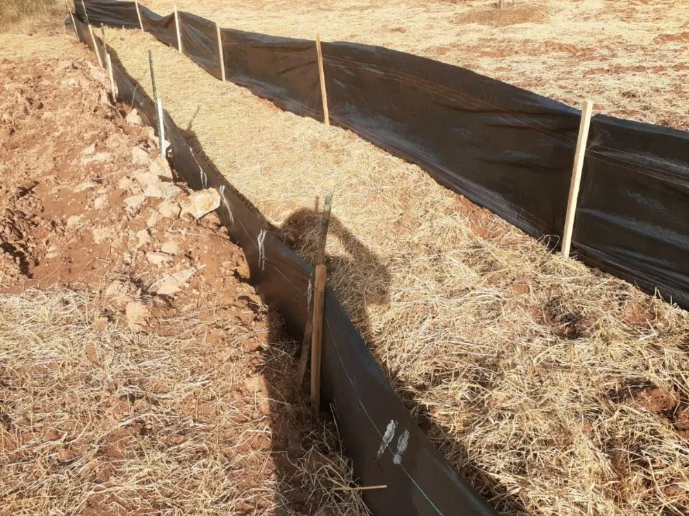 Affordable residential landscaping experts serving Union, SC - Sweetwater Grading Solutions