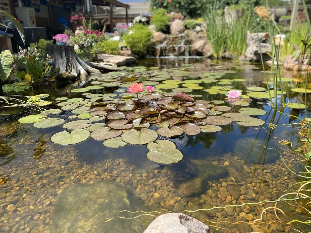 Local outdoor landscaping for year-round maintenance across Longmont, CO - Sweetwater Ponds