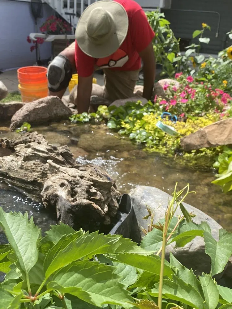 Affordable outdoor landscaping in Longmont, CO by Sweetwater Ponds