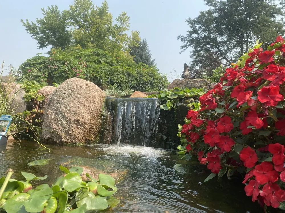 Expert landscaping services in Longmont, CO by Sweetwater Ponds