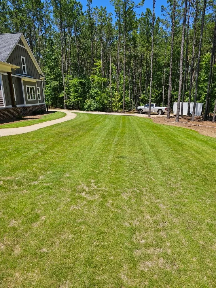 Custom yard cleanup service experts serving North Augusta, SC - Sweetwater Property Solutions