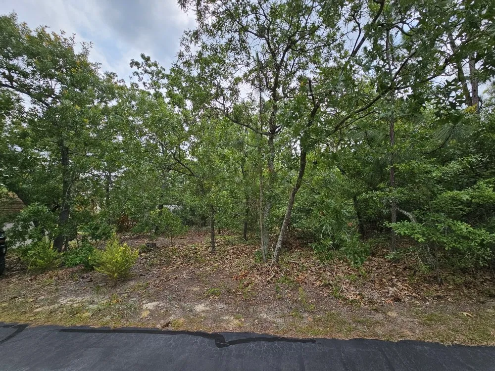 Custom landscaping services in North Augusta, SC - Sweetwater Property Solutions