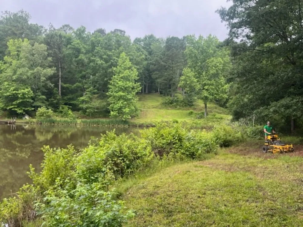 Expert yard cleanup service for beautiful yards across North Augusta, SC - Sweetwater Property Solutions