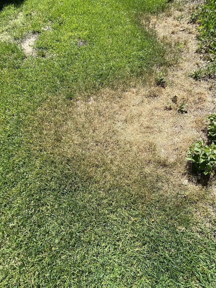 Local residential landscaping in Bellevue, ID by Swenke Landscape