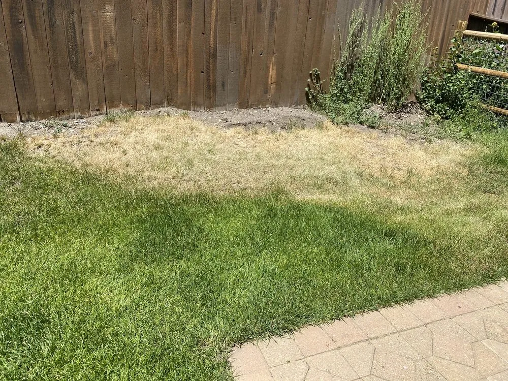 Expert garden landscaping for year-round maintenance across Bellevue, ID - Swenke Landscape