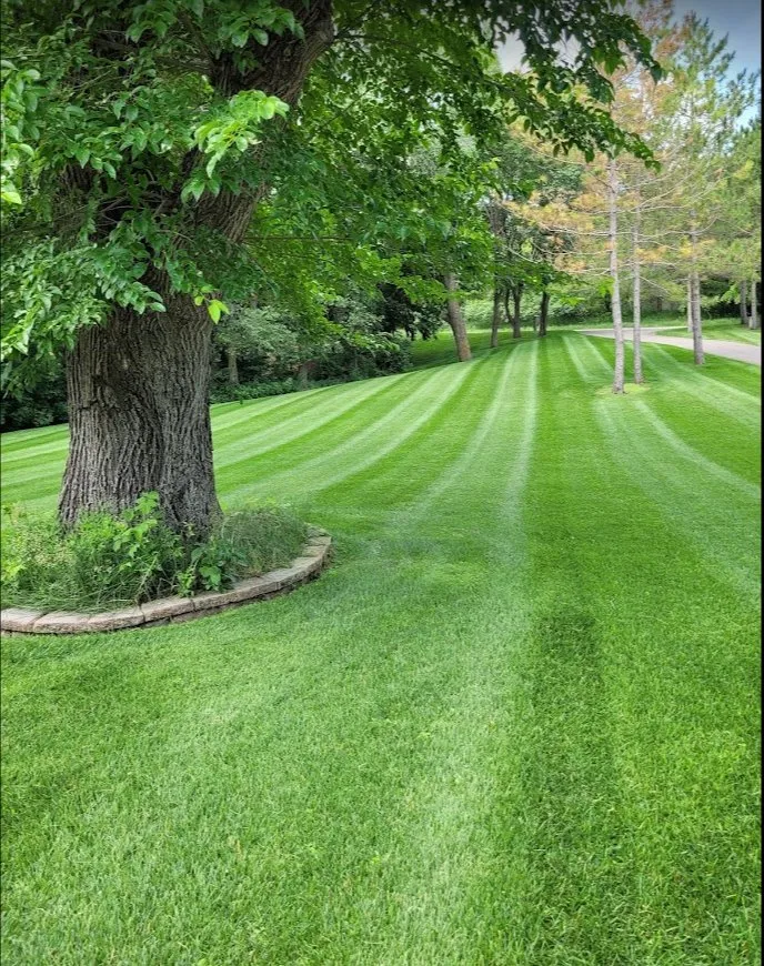 Trusted garden landscaping for residential properties across Alexandria, MN - Swenson Services