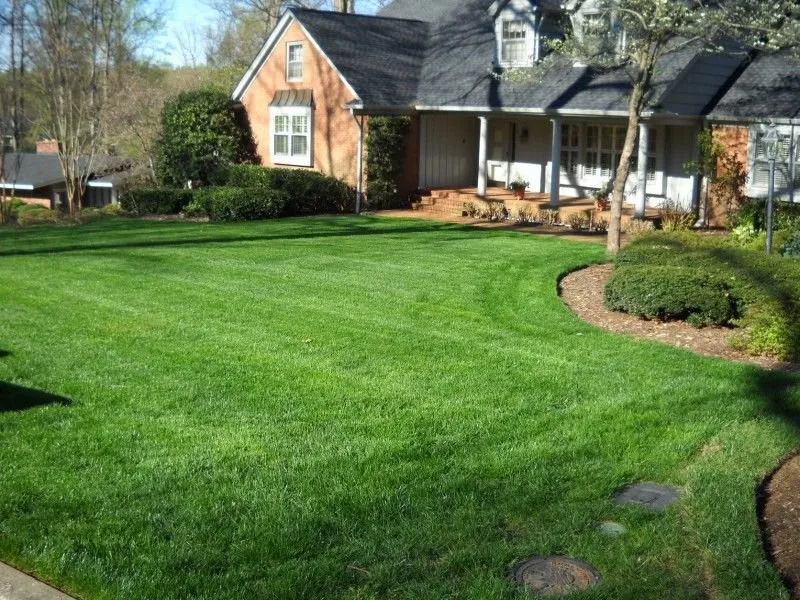 Custom yard maintenance in Johns Island, SC - Swett & Sons Lawn Care