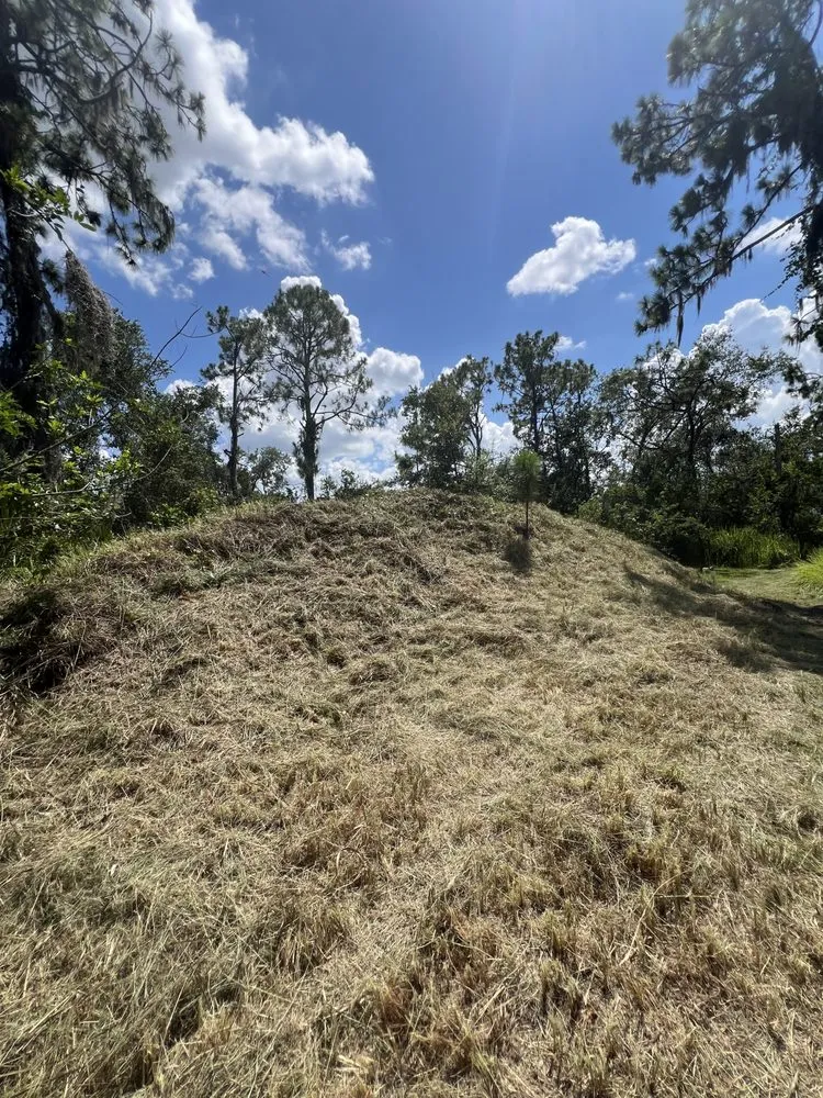 Expert outdoor landscaping for beautiful yards across Braden River, FL - Swfl Land Management