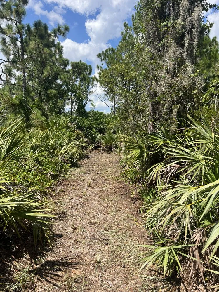 Affordable landscaping services for residential properties across Braden River, FL - Swfl Land Management