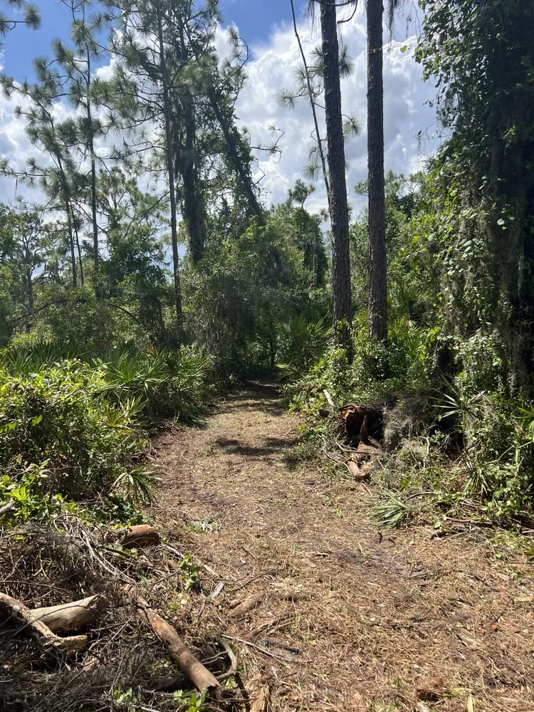 Local yard maintenance for homes in Braden River, FL by Swfl Land Management