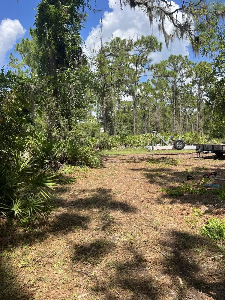 Local residential landscaping for outdoor upgrades across Braden River, FL - Swfl Land Management
