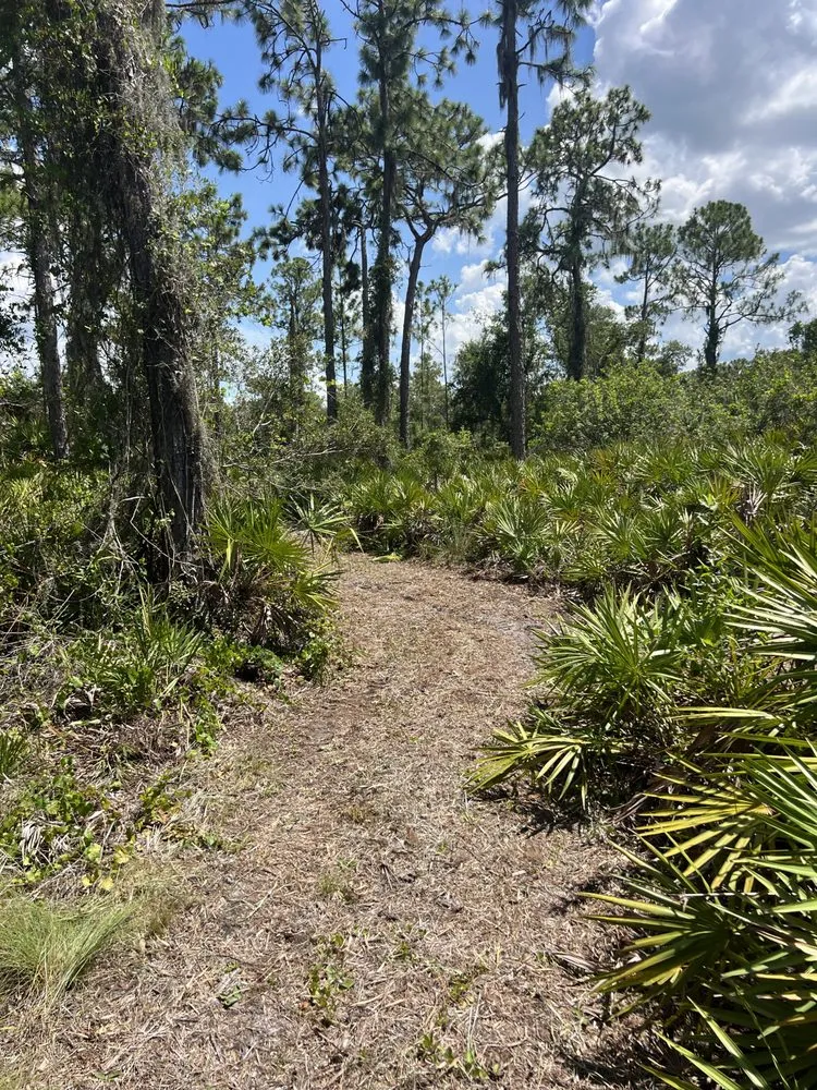 Trusted garden landscaping experts serving Braden River, FL - Swfl Land Management