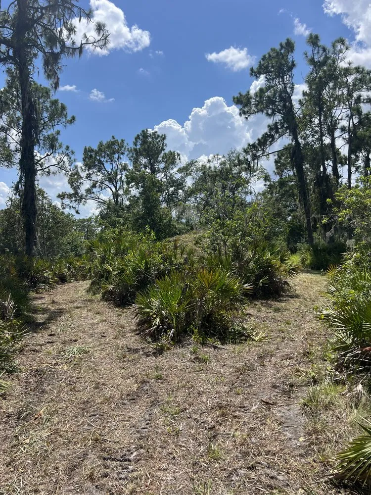 Professional garden landscaping for residential properties across Braden River, FL - Swfl Land Management