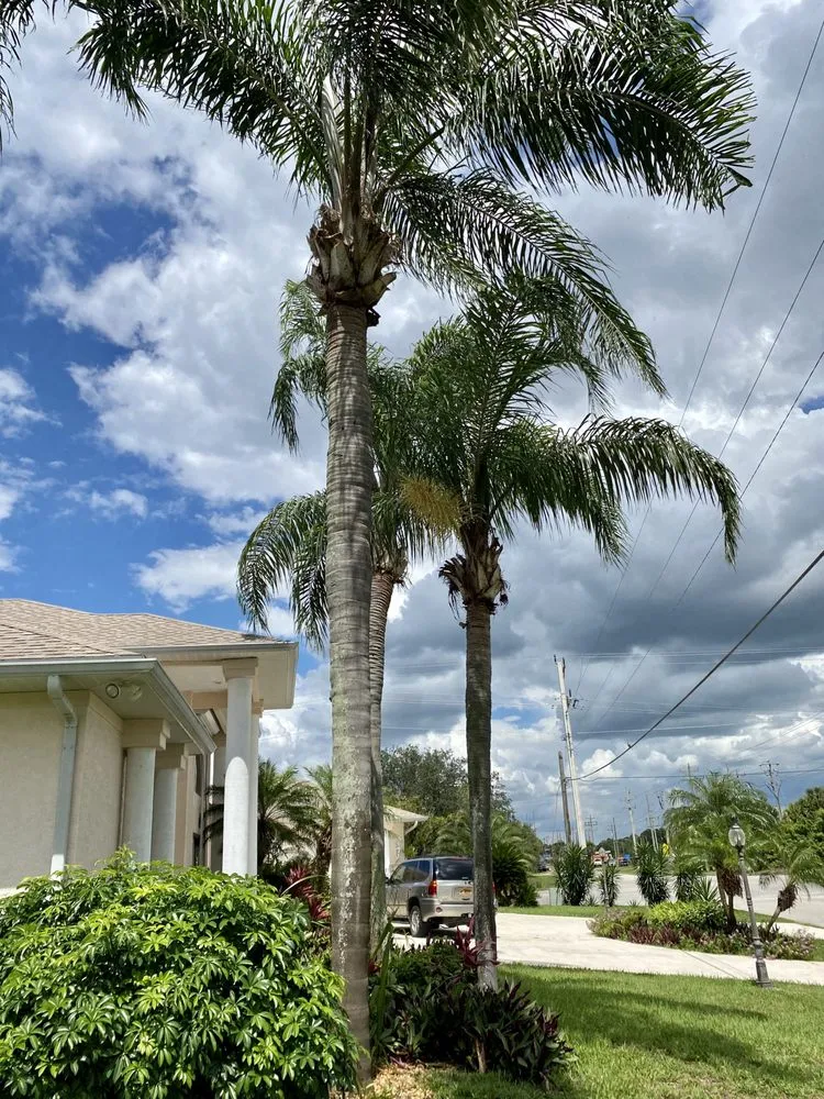 Custom landscape installation in Fort Myers, FL by SWFL Outdoor Services