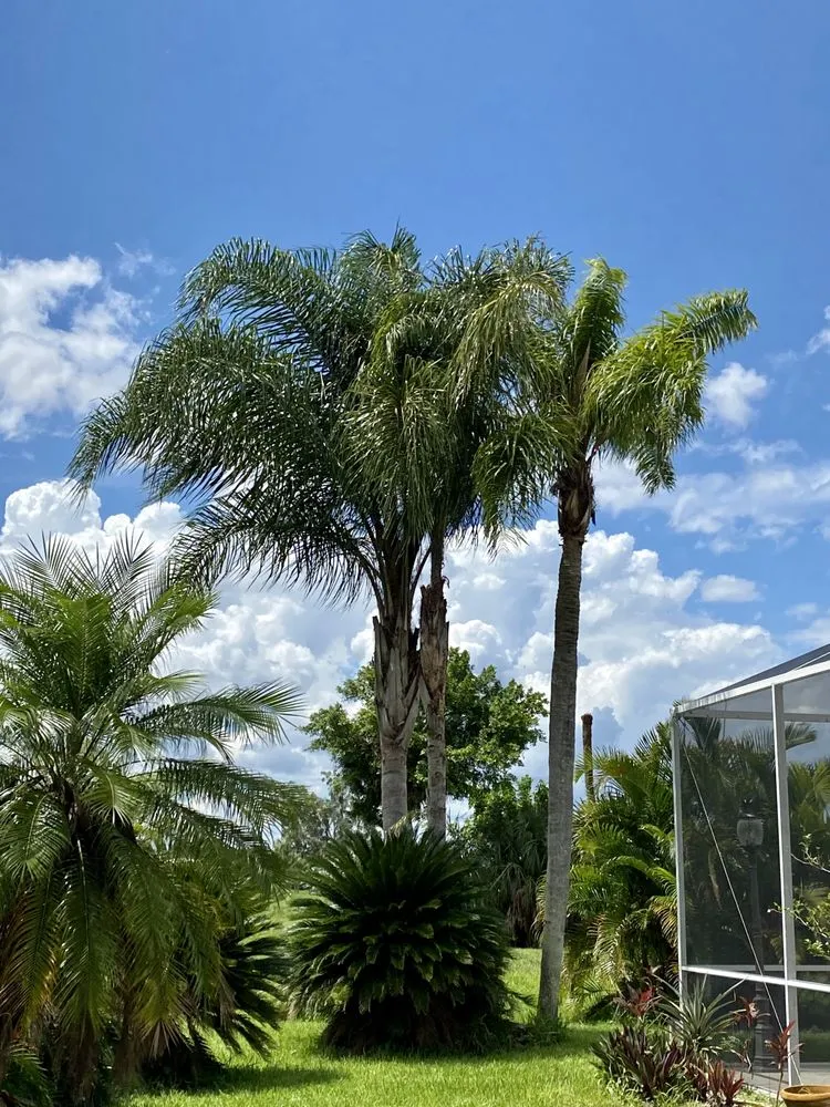 Reliable lawn care service in Fort Myers, FL - SWFL Outdoor Services