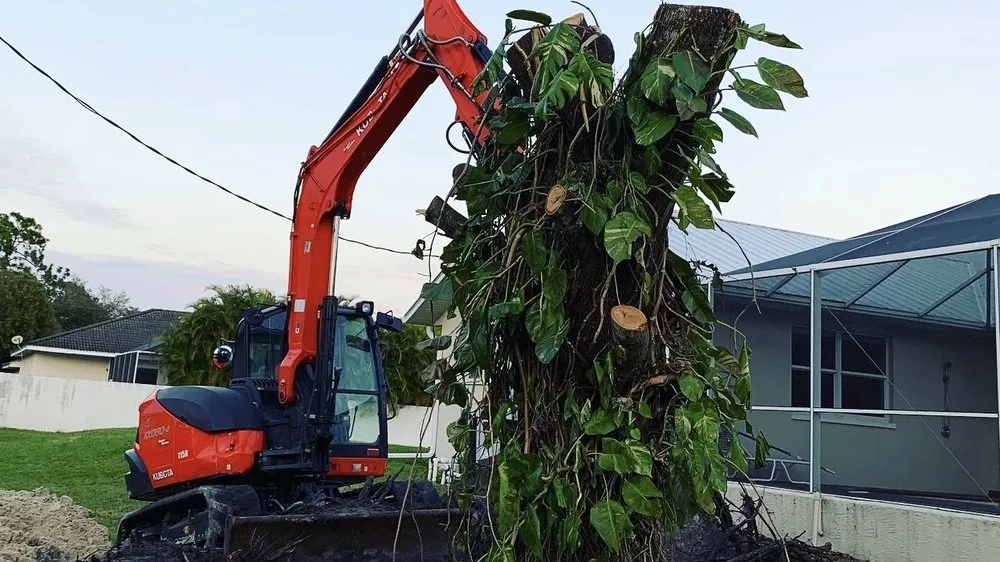 Affordable lawn care service in Fort Myers, FL by SWFL Outdoor Services