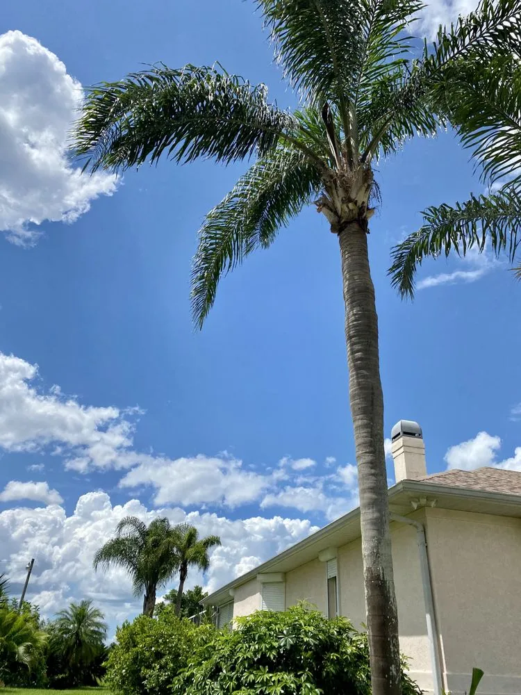 Local lawn care service for homes across Fort Myers, FL - SWFL Outdoor Services