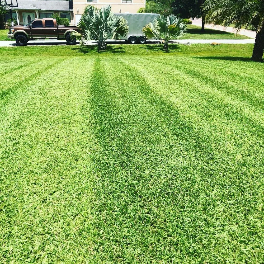 Custom yard cleanup service for residential properties in Fort Myers, FL by SWFL Outdoor Services