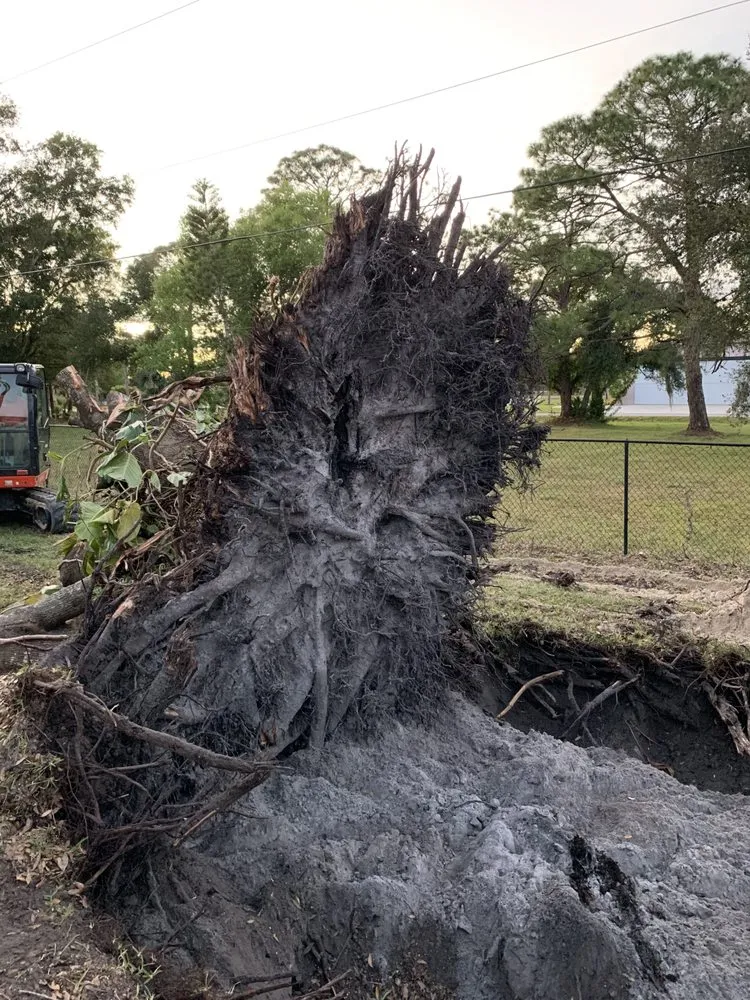 Expert landscape installation for outdoor upgrades across Fort Myers, FL - SWFL Outdoor Services