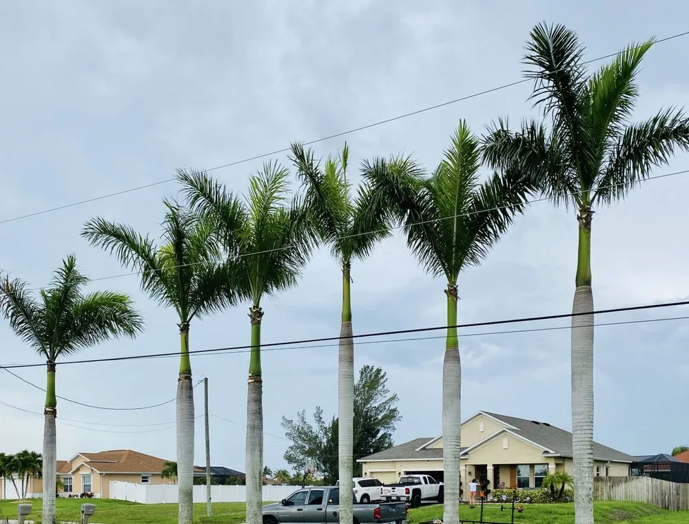 Affordable outdoor landscaping in Fort Myers, FL by SWFL Outdoor Services