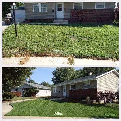 Swiams Landscaping and Snow Removal Logo