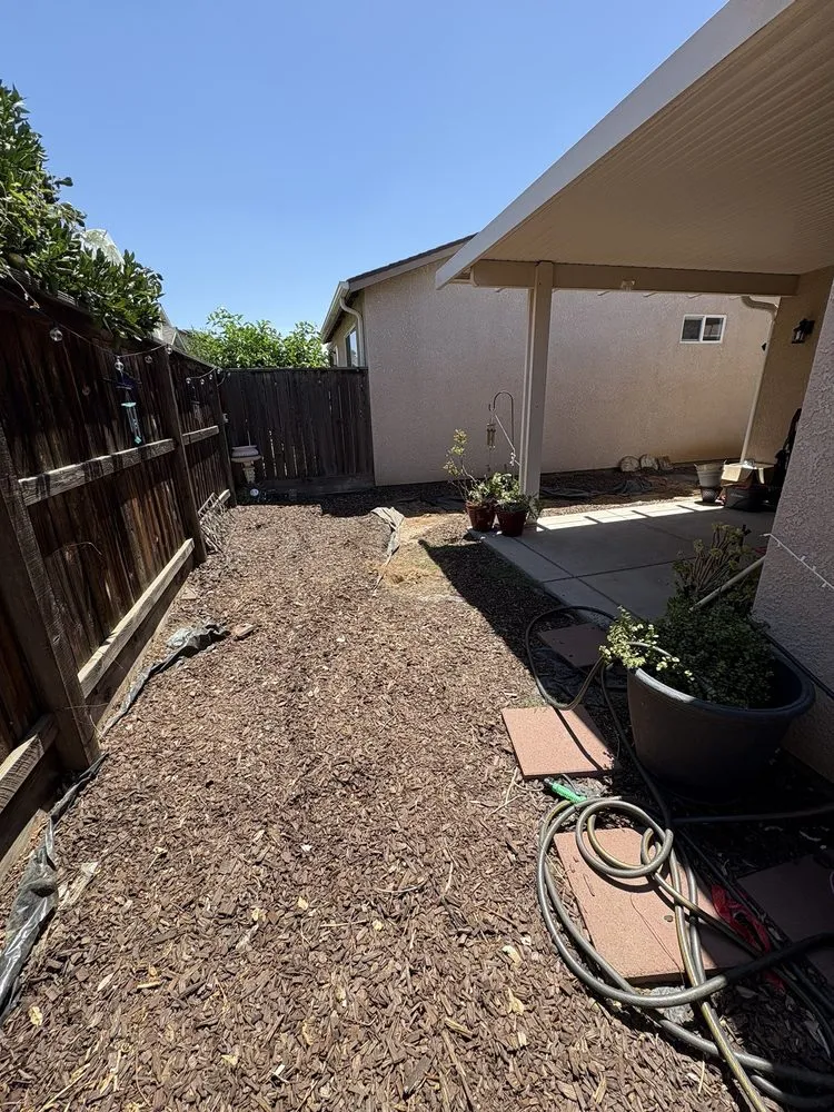 Expert yard cleanup service in Clovis, CA by Swift Creations Turf and Landscaping