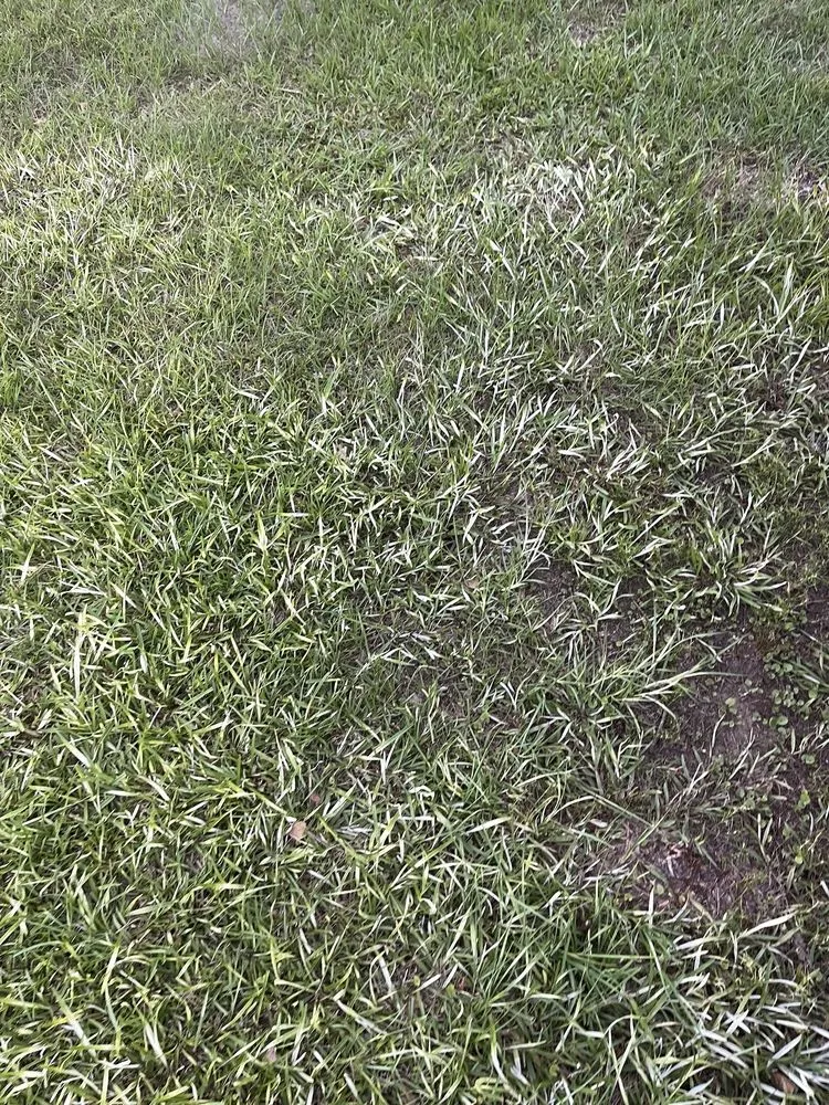 Custom lawn mowing service experts serving Milton, FL - Swift Cutz