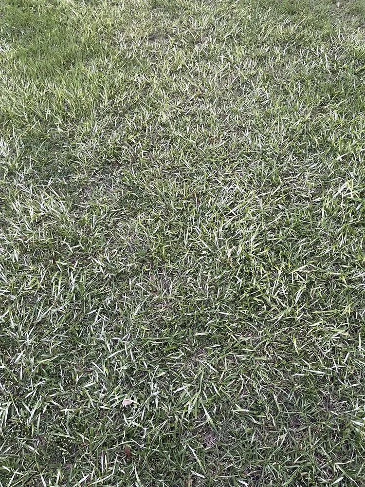 Reliable lawn mowing service experts serving Milton, FL - Swift Cutz