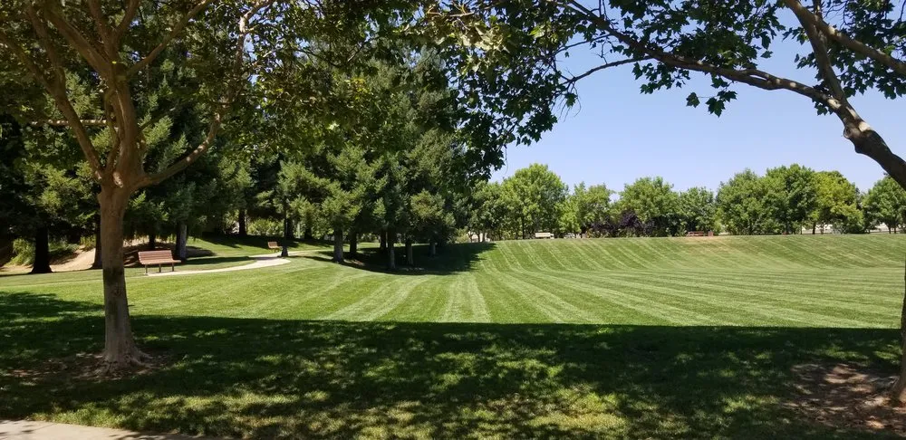 Local yard maintenance in Escalon, CA - Swift Lawn & Garden
