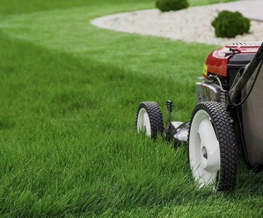Local landscape design in Little Rock, AR - Swift Mowing Services