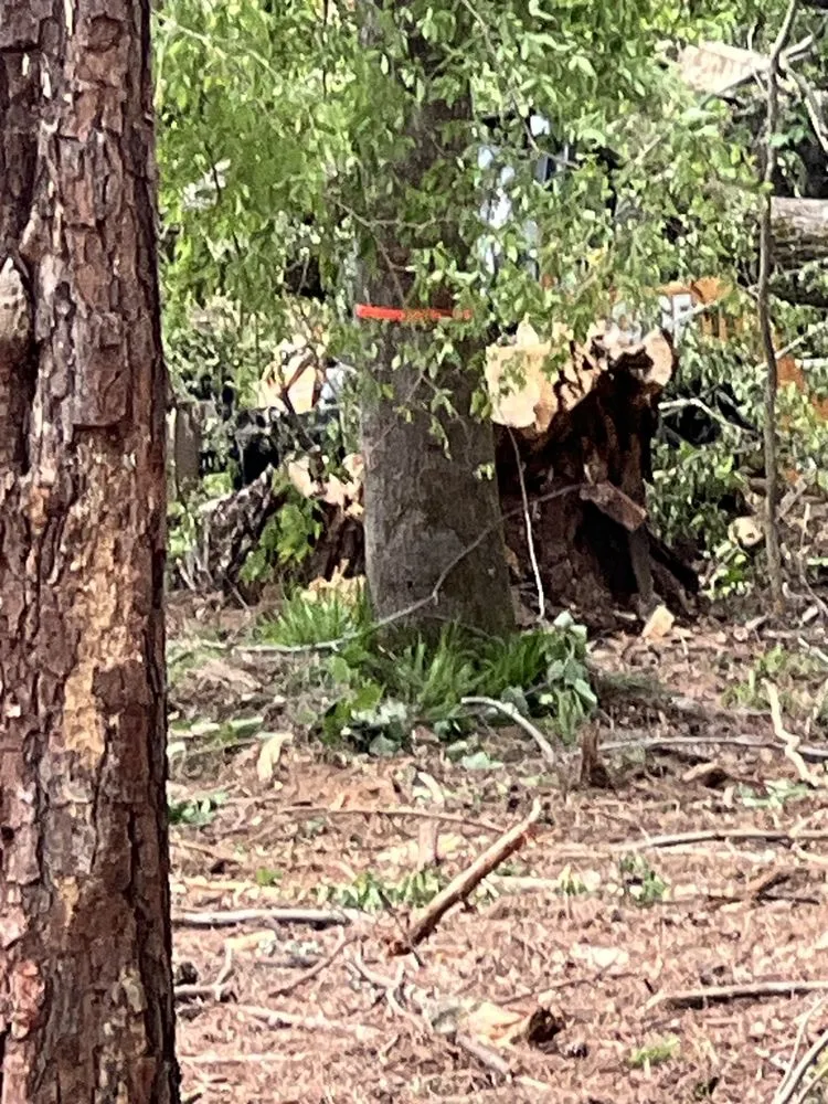 Local garden landscaping with custom design in North Augusta, SC by Swift Site Solutions