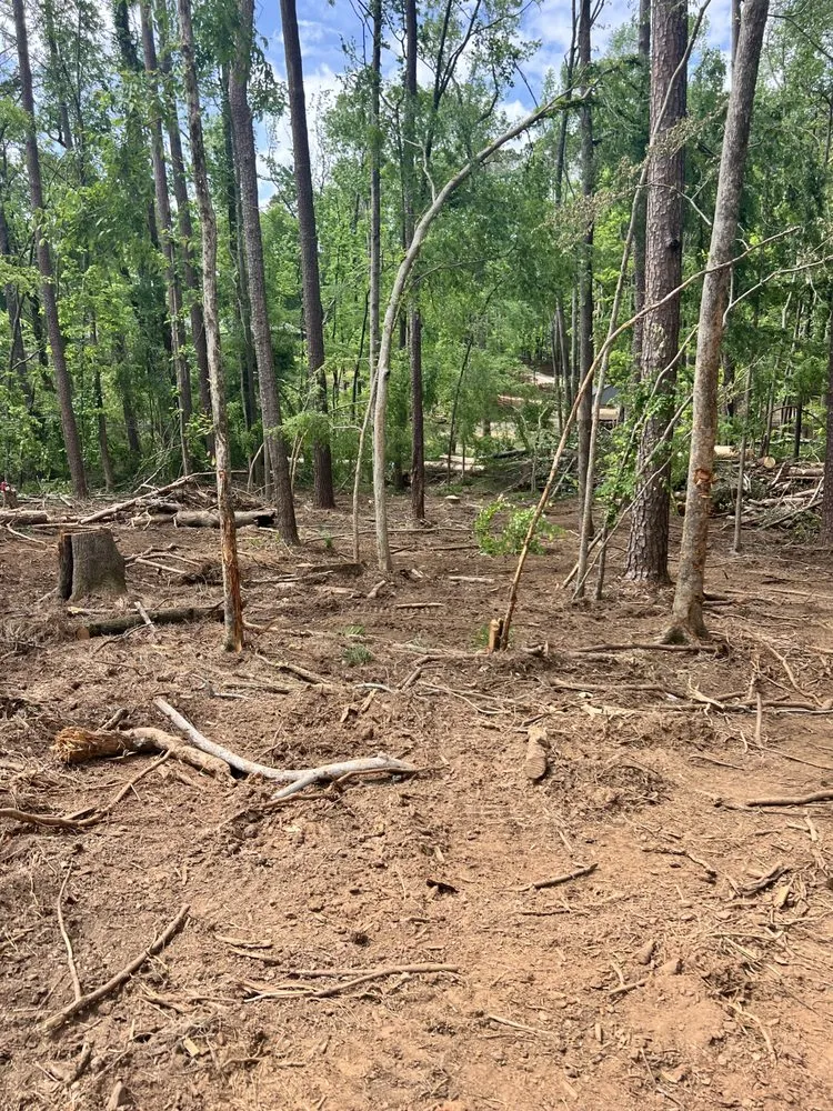 Affordable landscape design for residential properties across North Augusta, SC - Swift Site Solutions