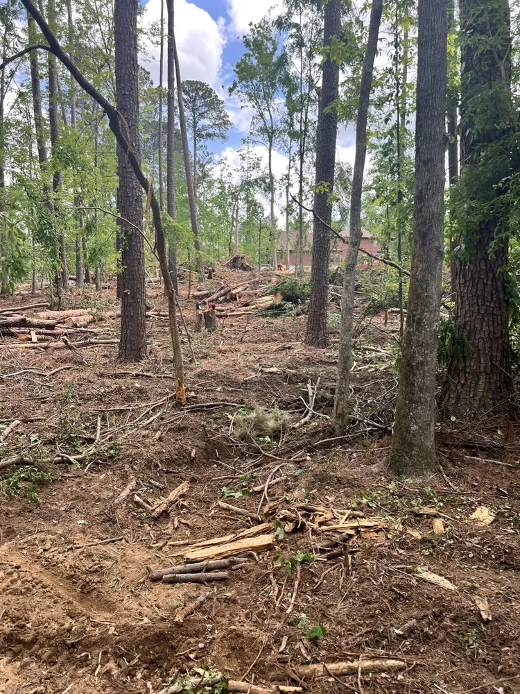 Expert landscaping services in North Augusta, SC - Swift Site Solutions