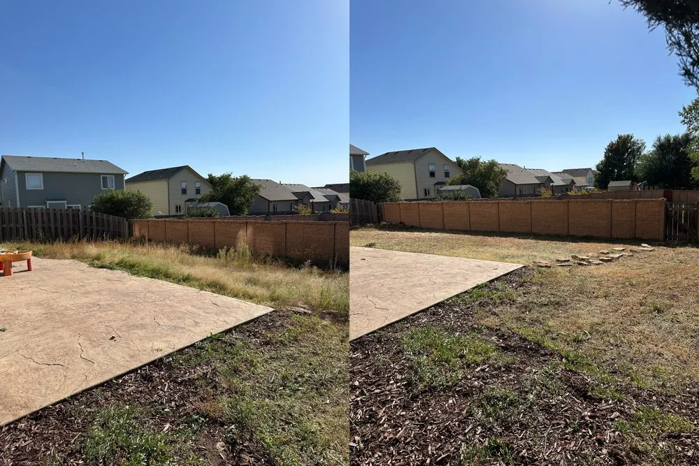 Professional landscape design near you in Colorado Springs, CO by Swift Solution Services