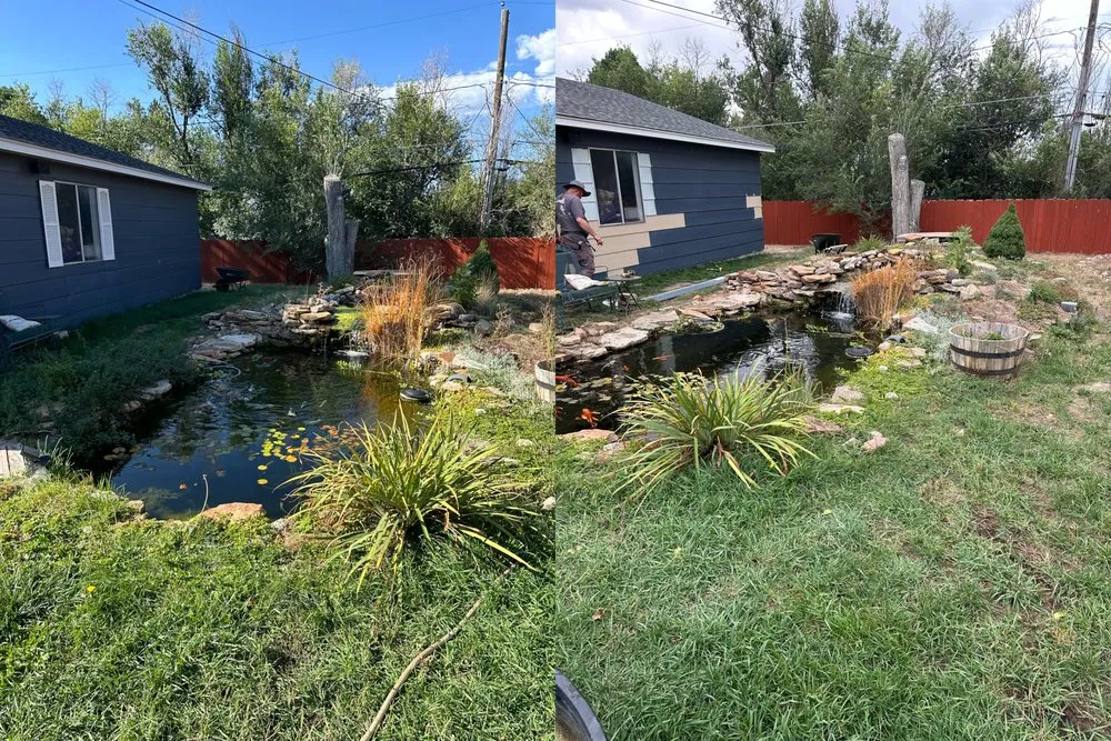 Expert lawn care service for outdoor upgrades across Colorado Springs, CO - Swift Solution Services