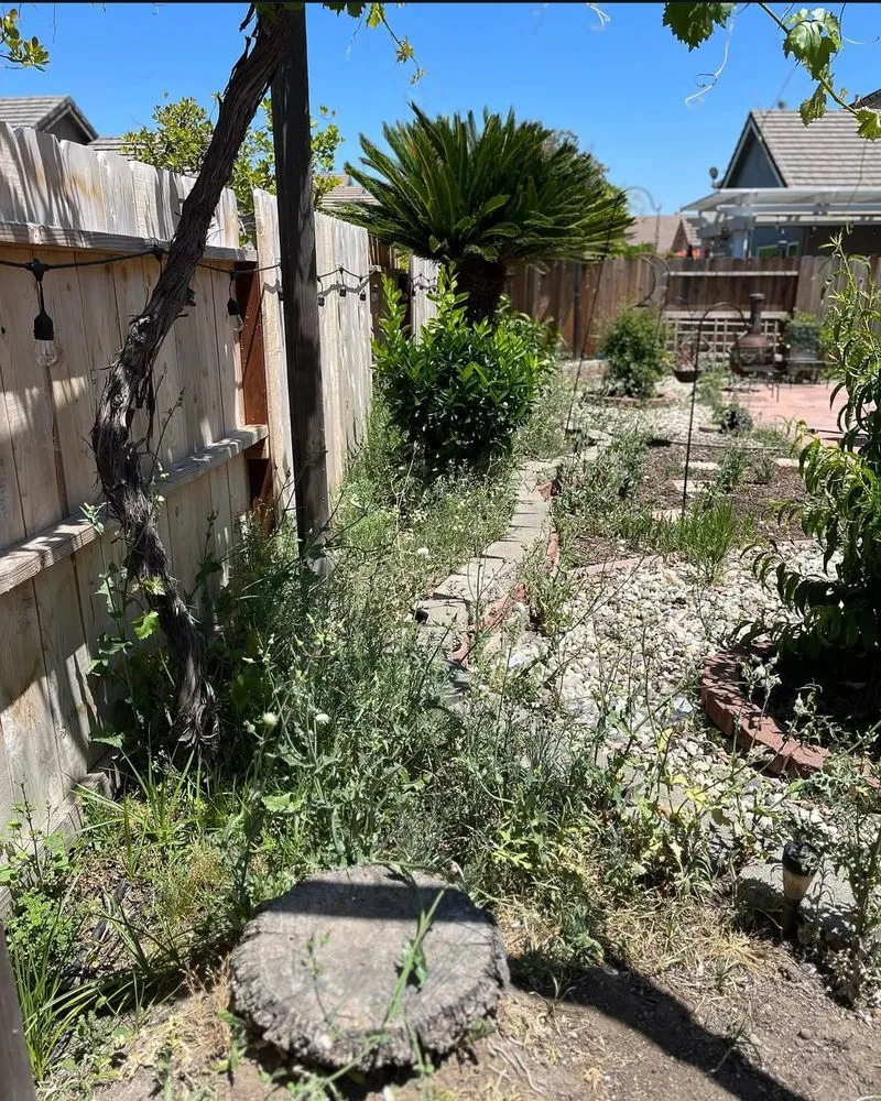 Top-rated landscape design in Atwater, CA - Swift Workz