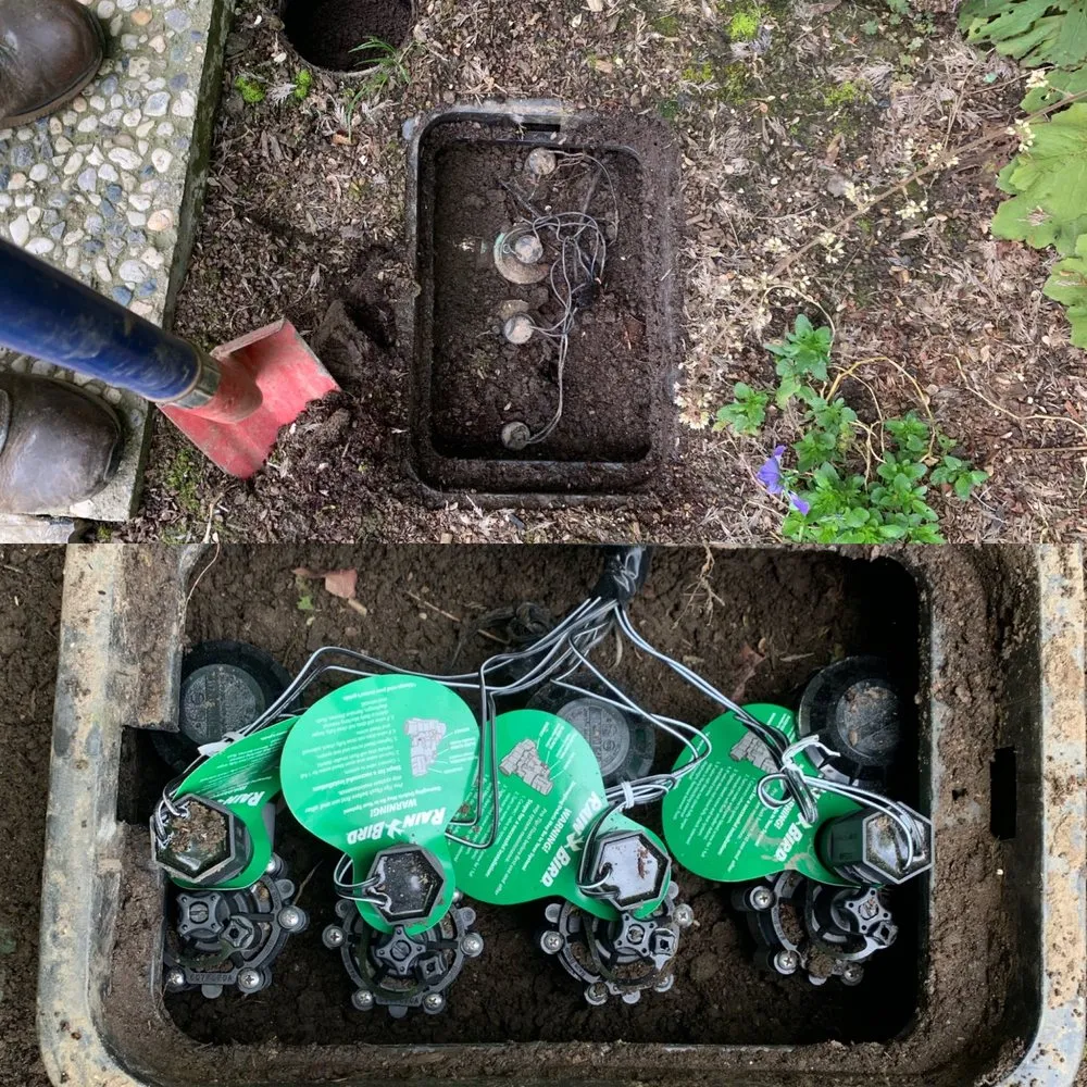 Professional residential landscaping near you across Exeter, CA - Swiftlawns