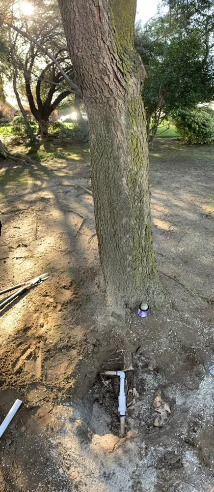 Professional outdoor landscaping in Exeter, CA - Swiftlawns