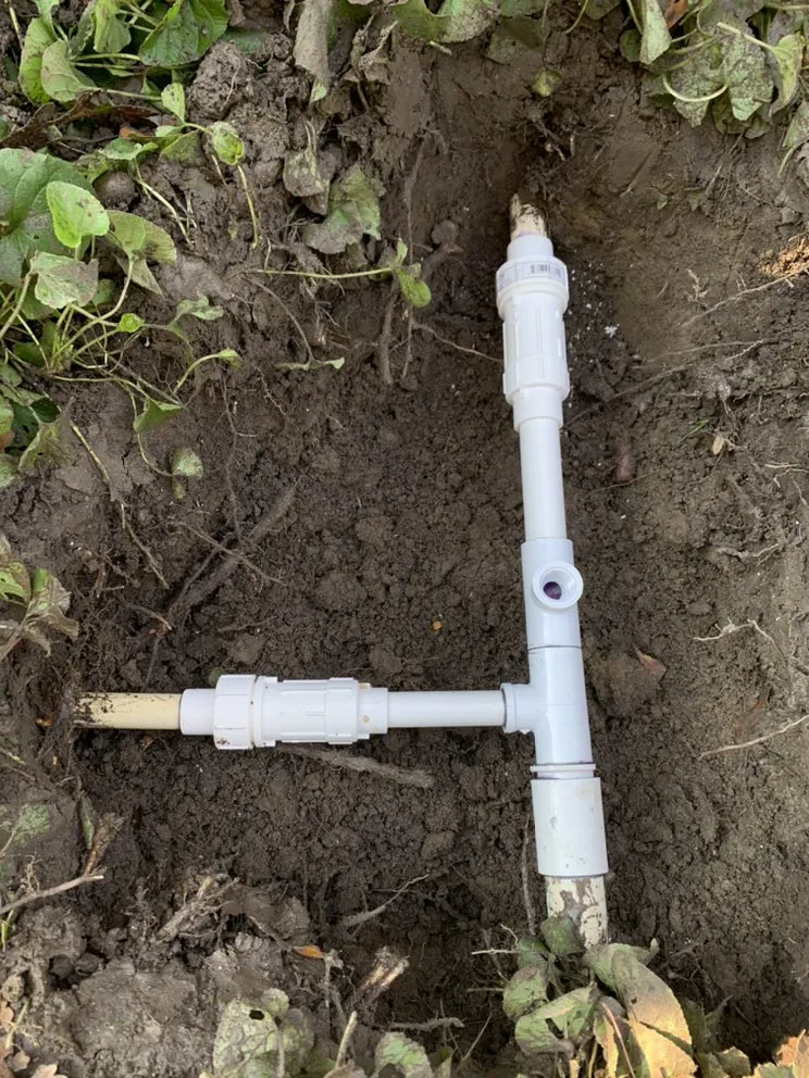 Local garden landscaping in Exeter, CA - Swiftlawns