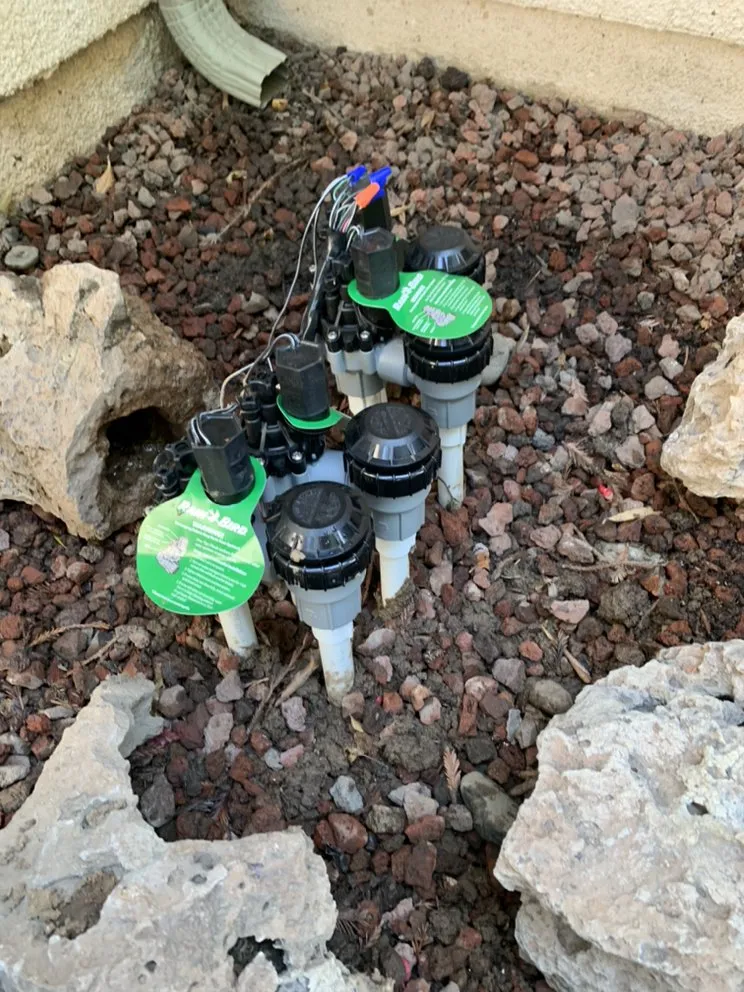 Expert landscaping services in Exeter, CA by Swiftlawns