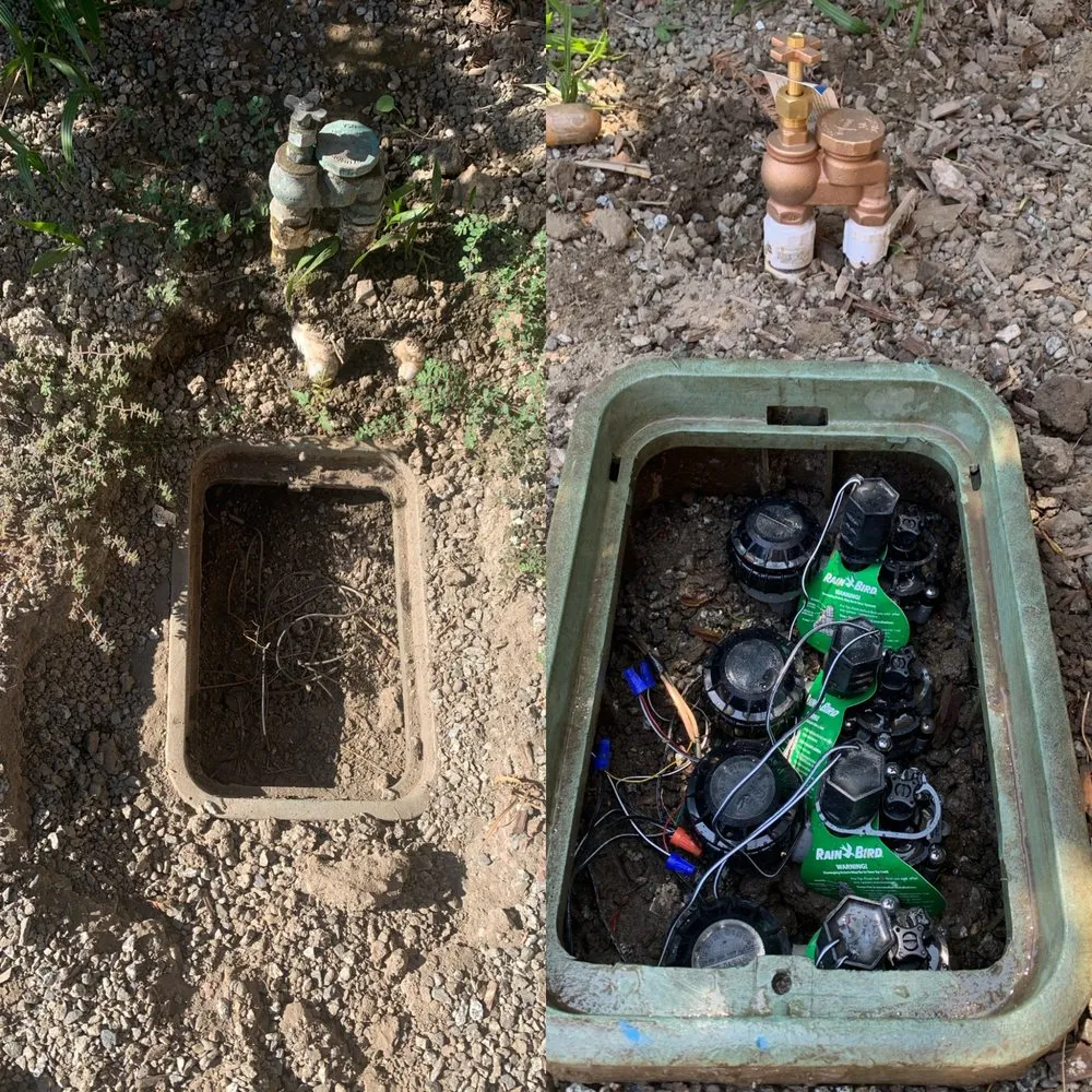 Reliable lawn mowing service in Exeter, CA by Swiftlawns