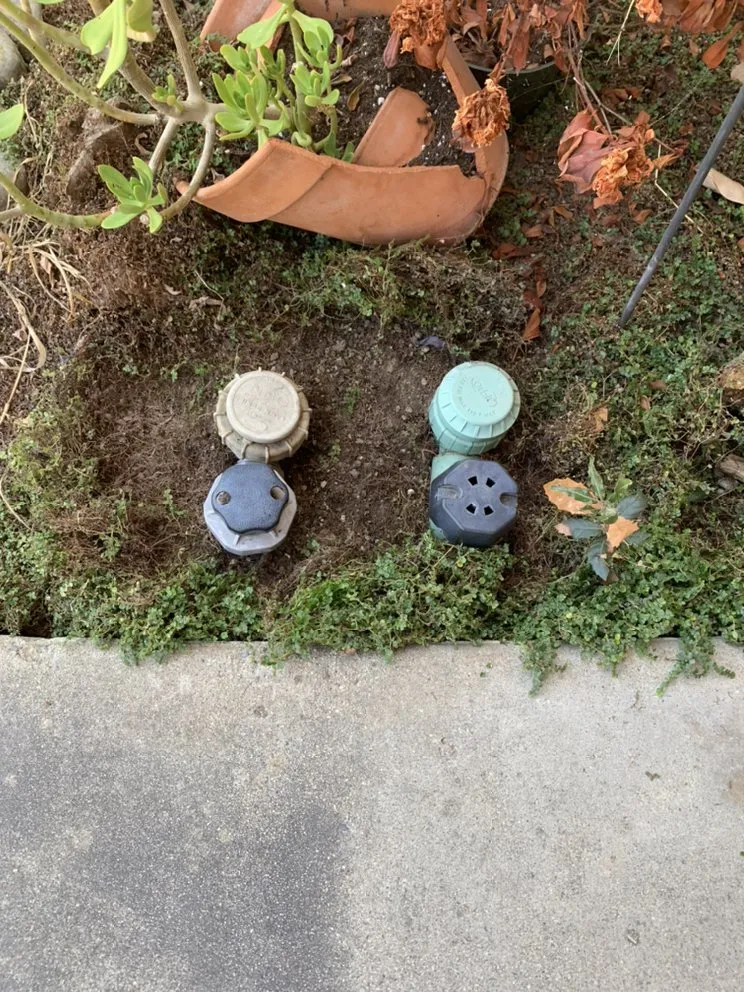 Local landscape installation near you in Exeter, CA by Swiftlawns