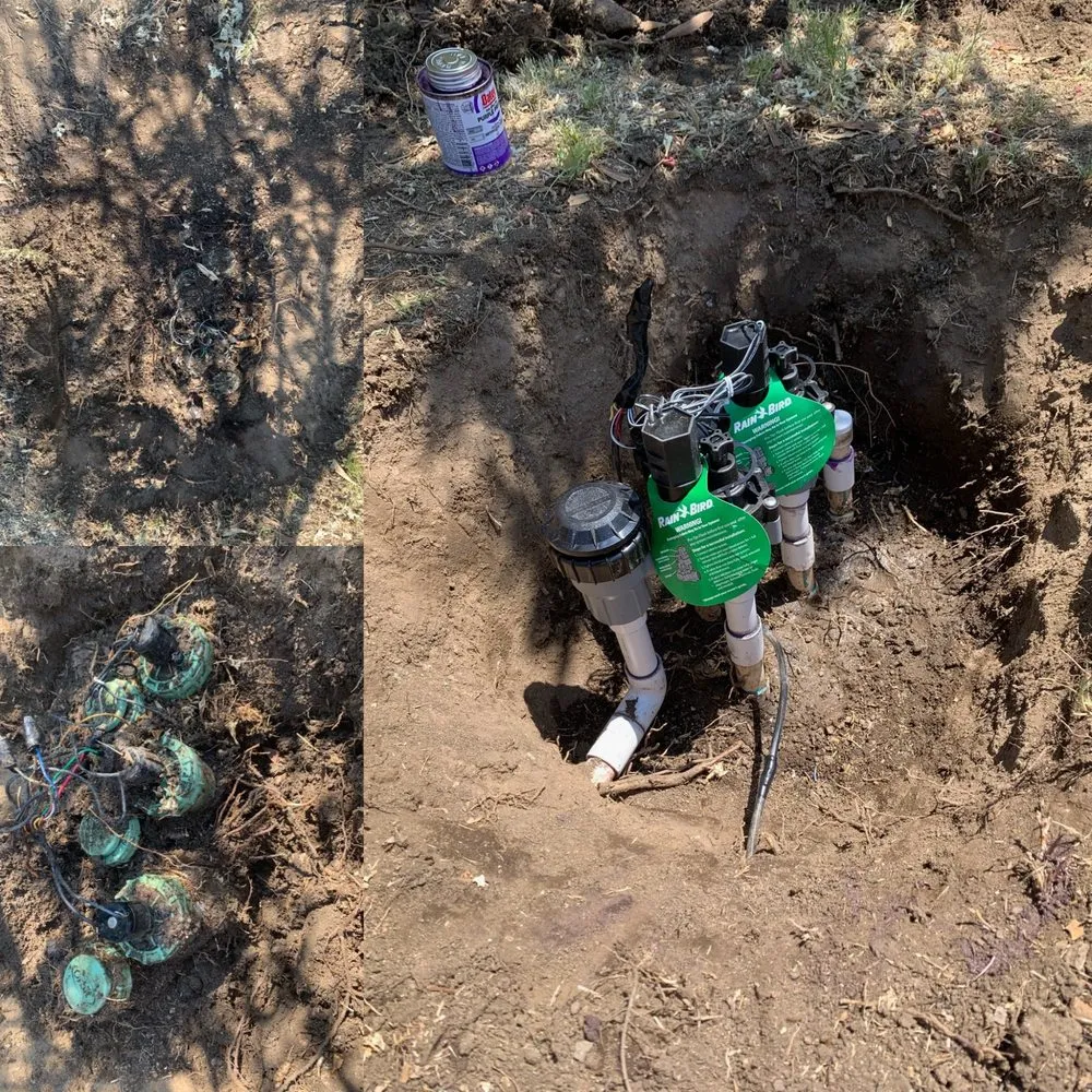 Affordable landscaping services for residential properties in Exeter, CA by Swiftlawns